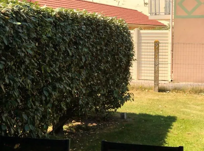 Sainte Cecile Camiers